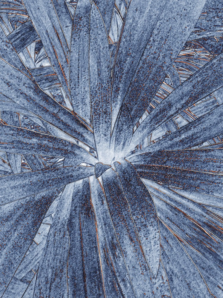 Blue Leaf Whirl