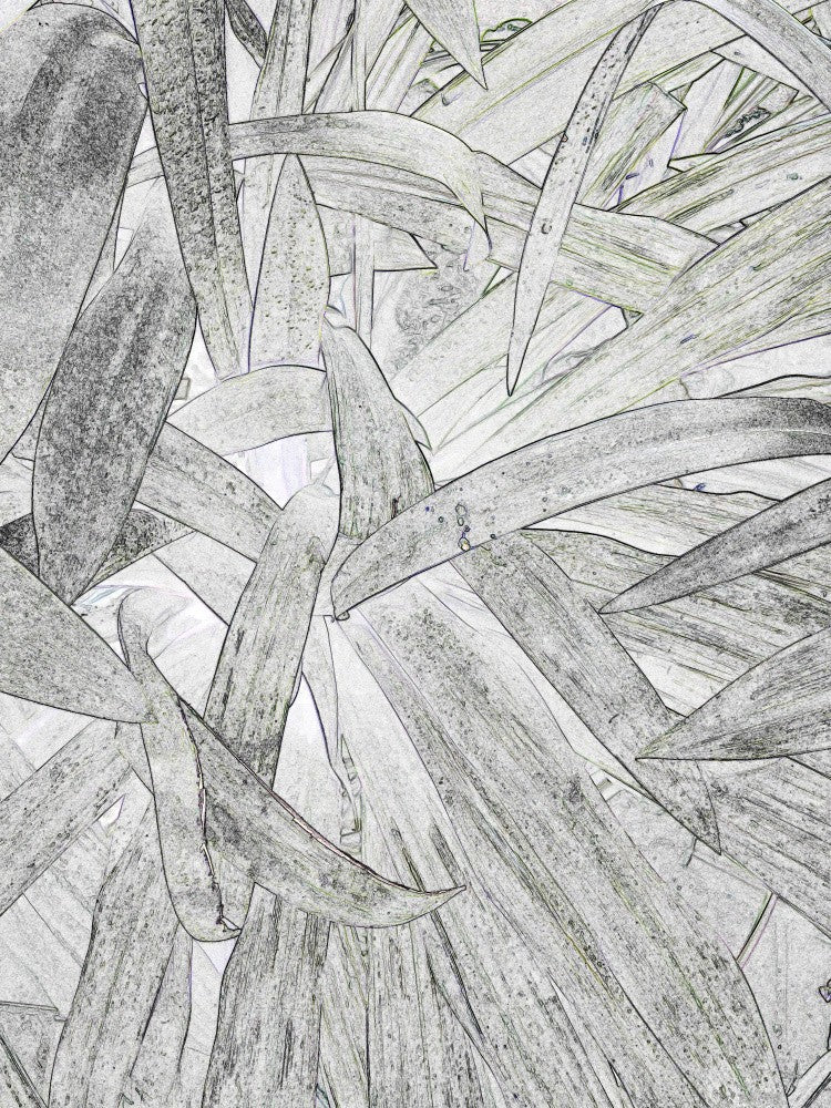 Leafy Labyrinth