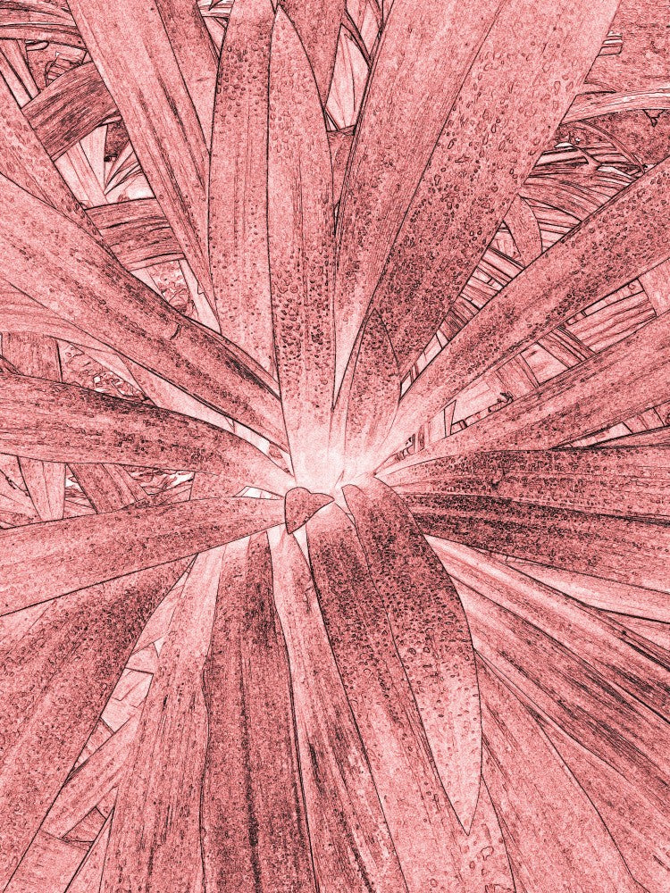 Radiant Leaf Burst