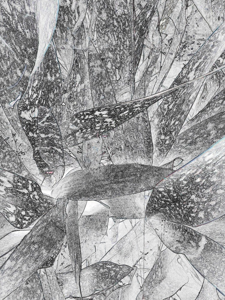 Abstract Fragments