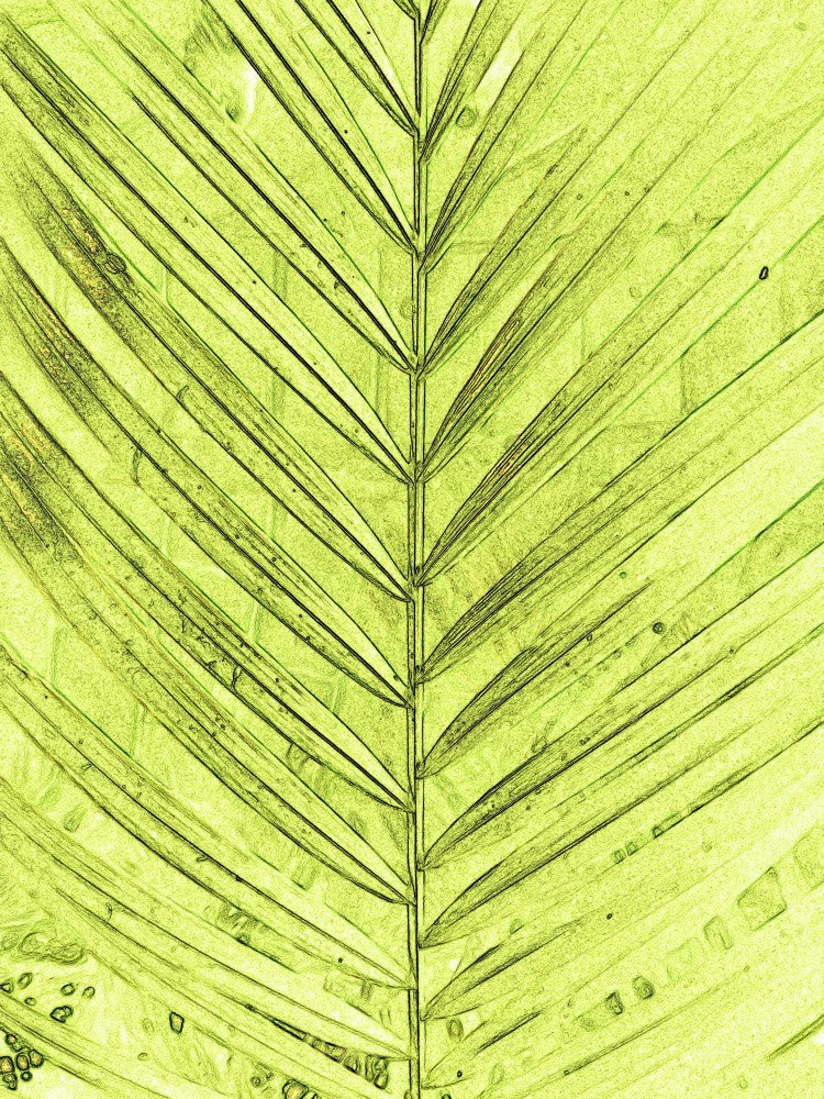 Verdant Symmetry