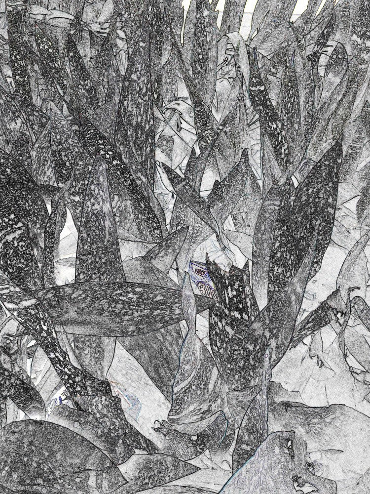 Leafy Labyrinth