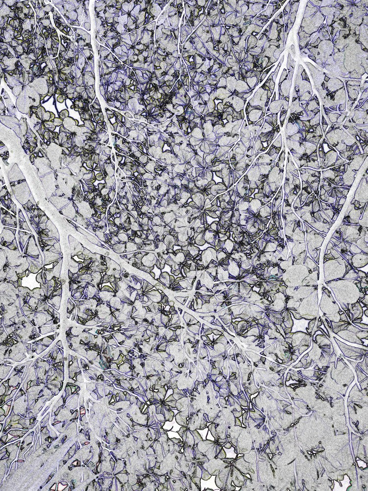Winter Branch Mosaic