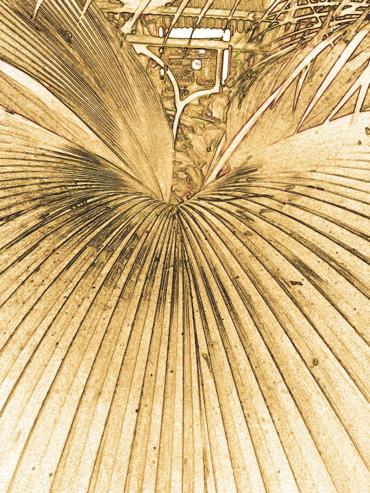 Golden Leaf Lines