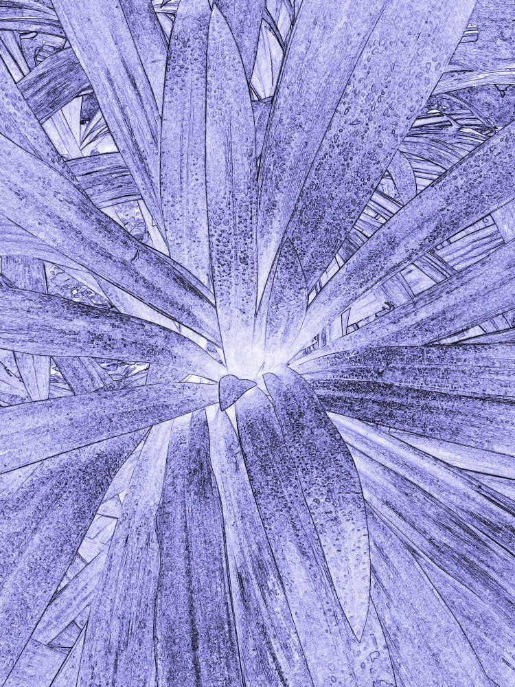 Radiant Leaf Burst