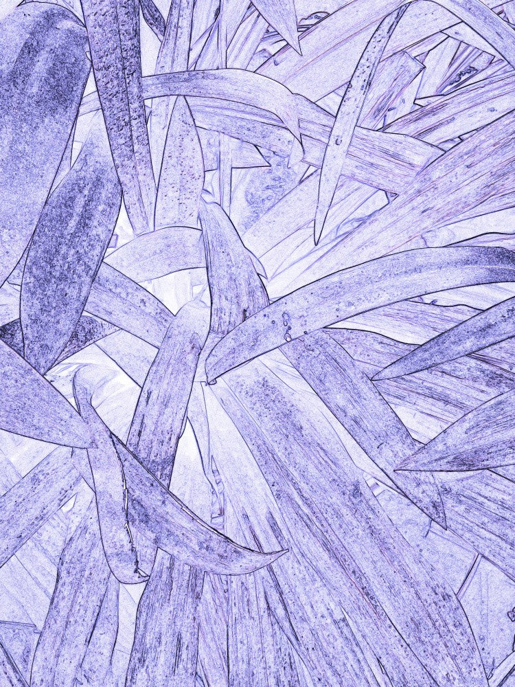 Whispering Leaves