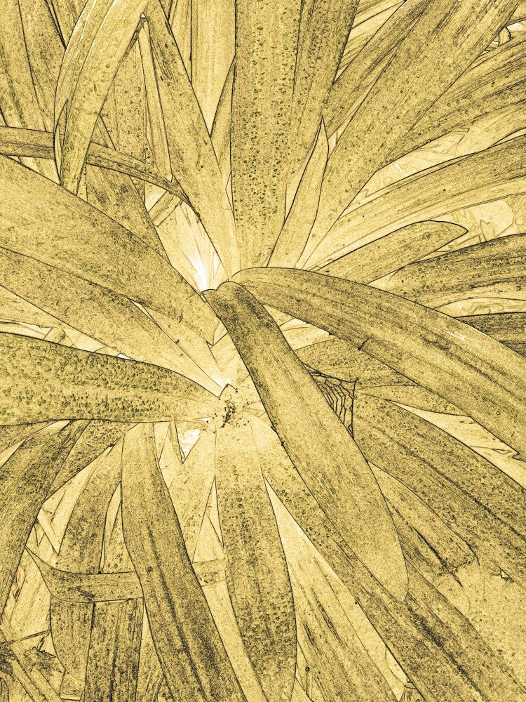 Golden Leaf Burst