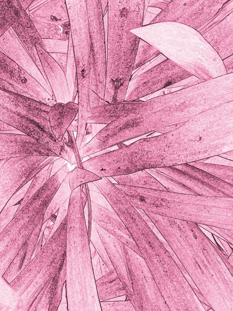 Pink Leaf Whirl