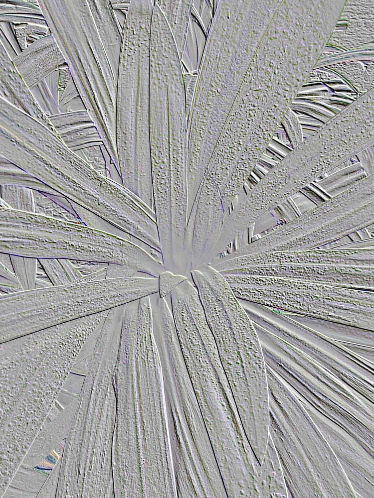 Leafy Whirlwind