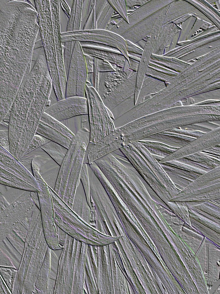 Whispering Leaves