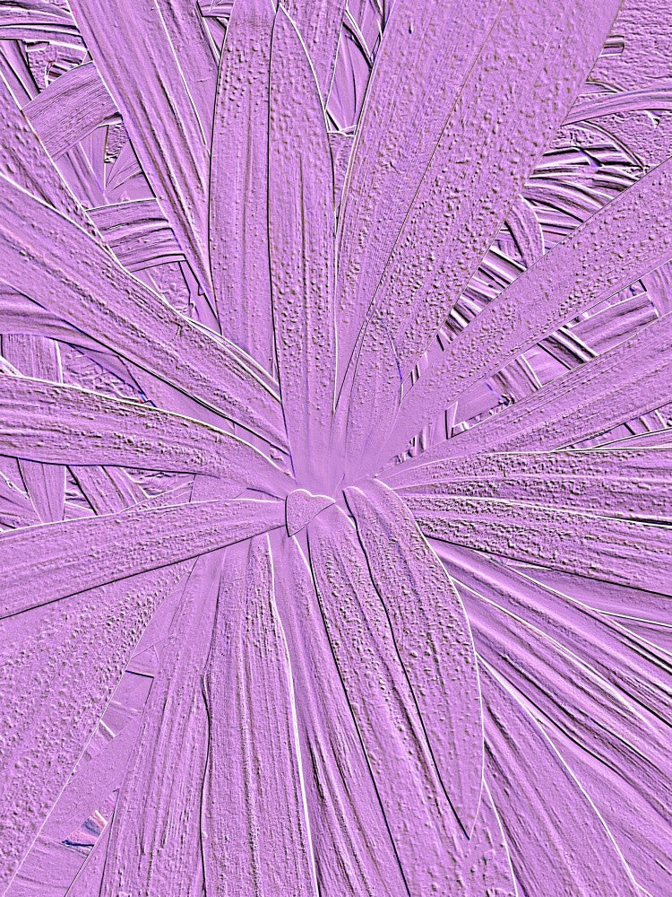 Petal Burst Magic