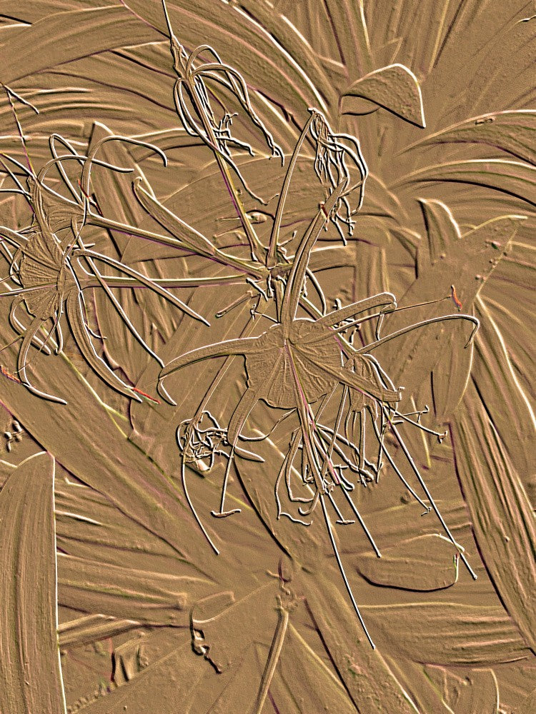 Bronzefloratanz