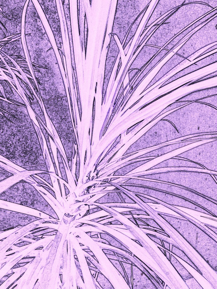 Neon Flora Burst