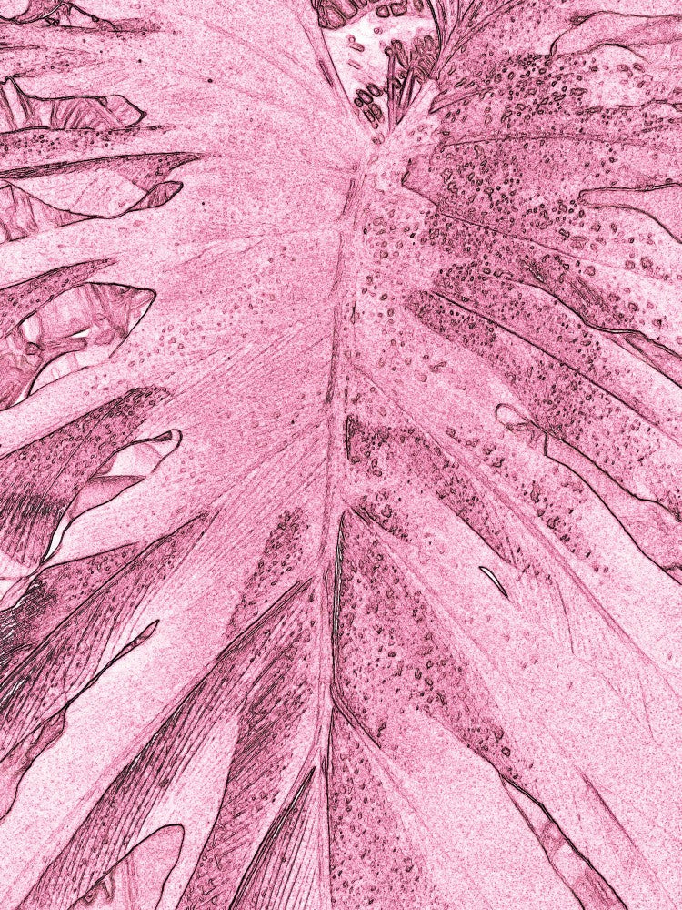 Tropical Veins