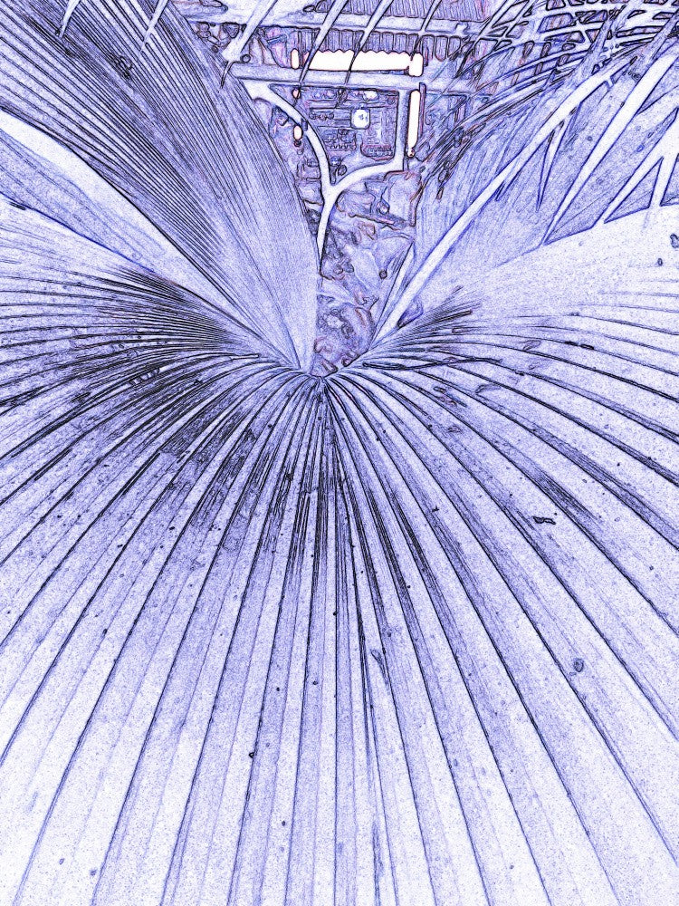 Fractal Leavescape