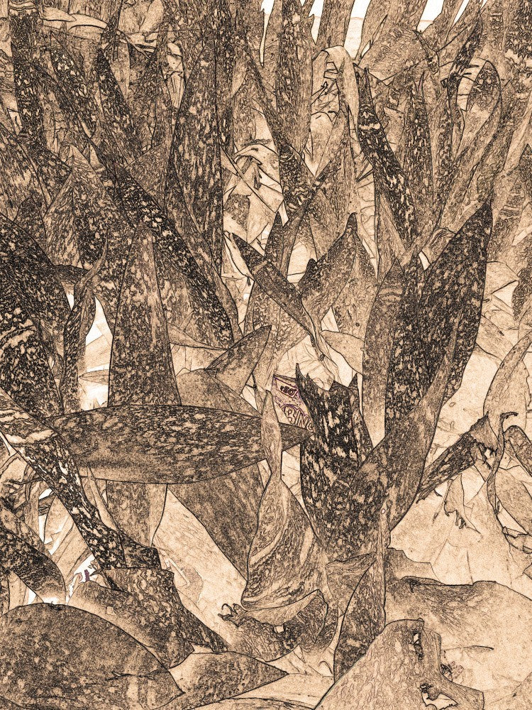 Abstract Foliage Maze