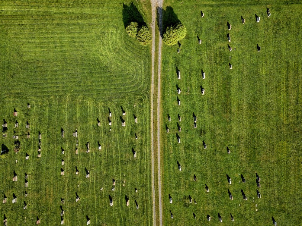 Above the Silent Graves