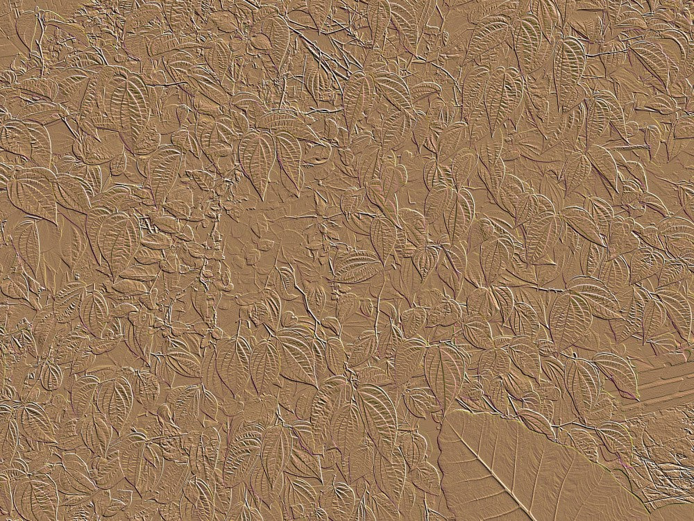 Leafy Earth Texture