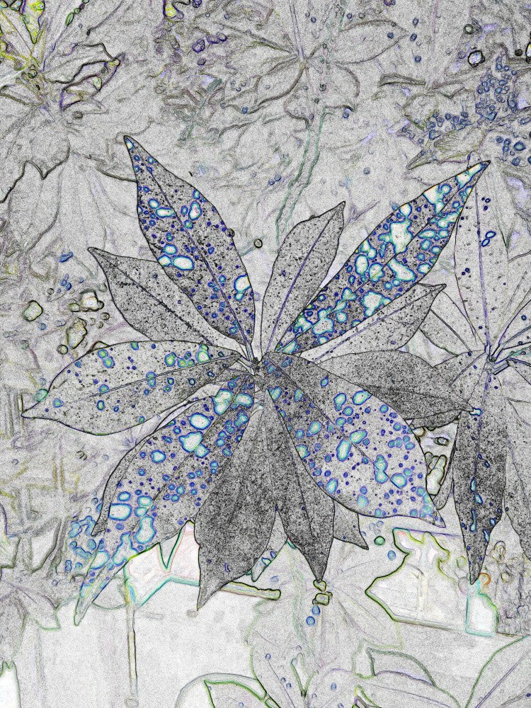 Galactic Foliage