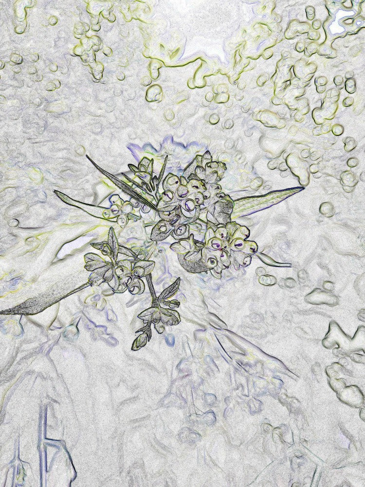 Floral Dreamscape