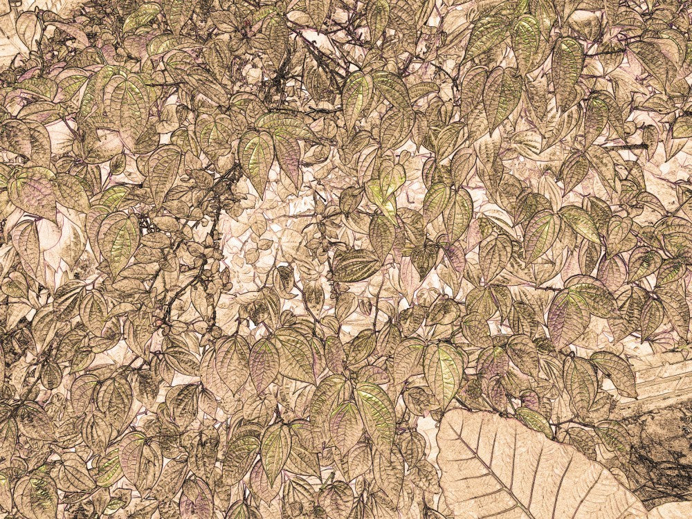 Leafy Whispers