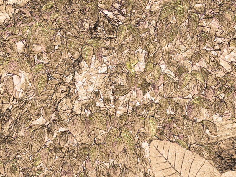 Leafy Whispers