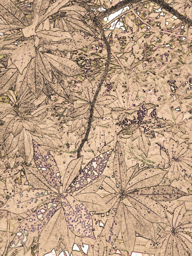 Leafy Whimsy