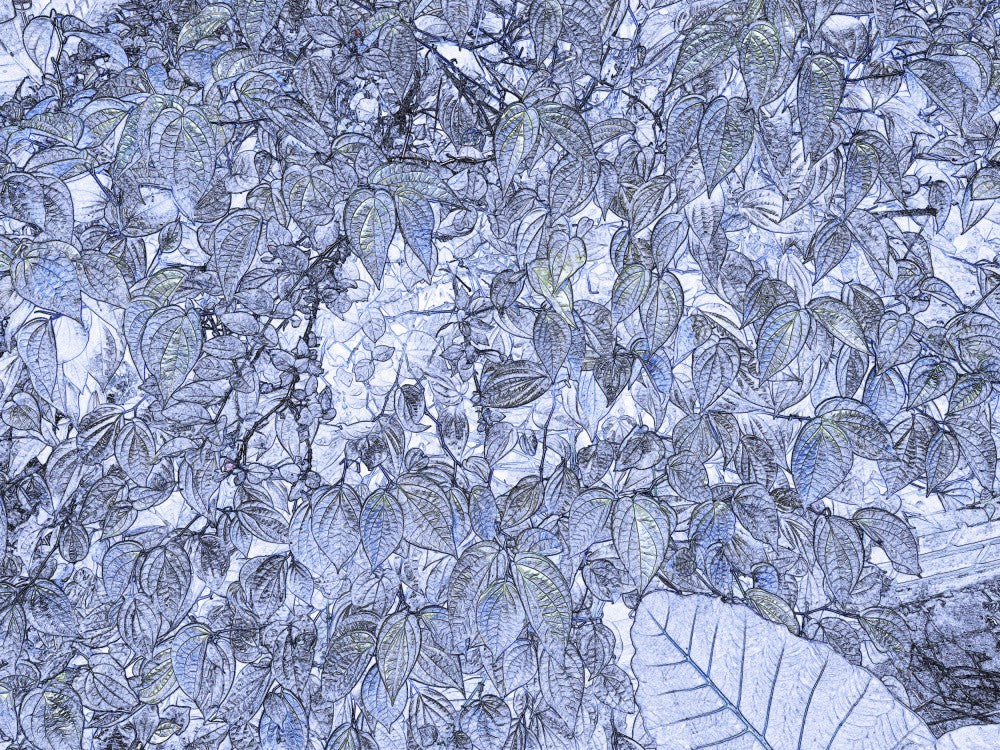 Blue Leaf Tangle