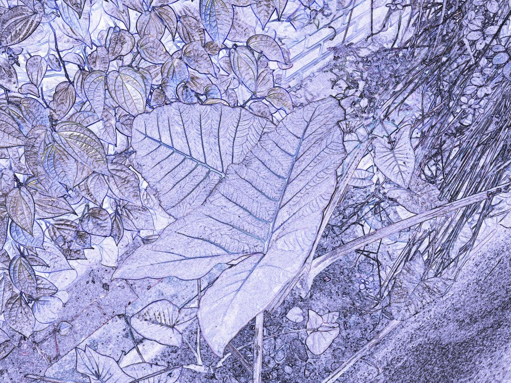 Whispering Leaves