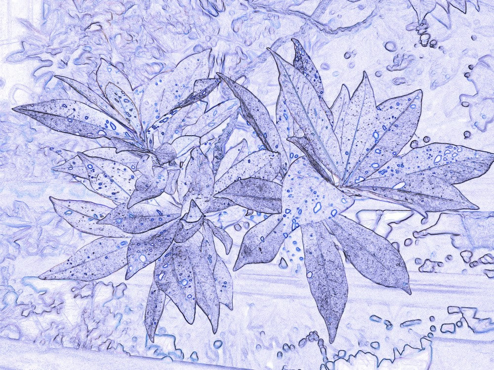 Bluish Blossom Dance