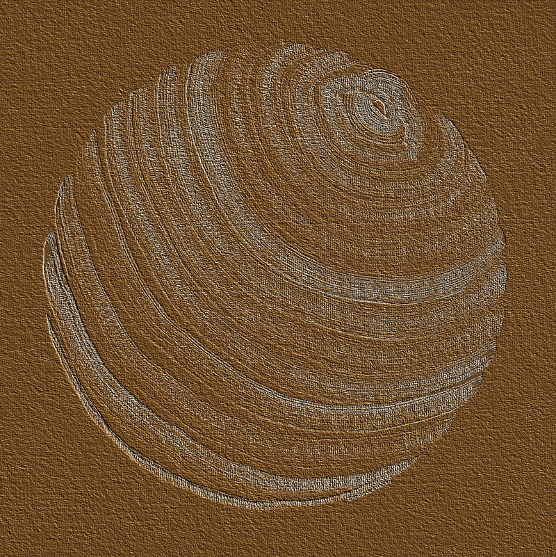 Round Shape 17