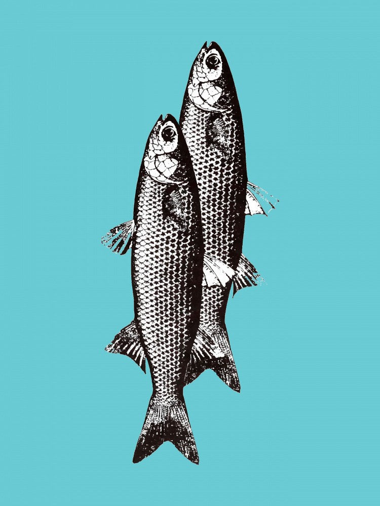 Sardinas