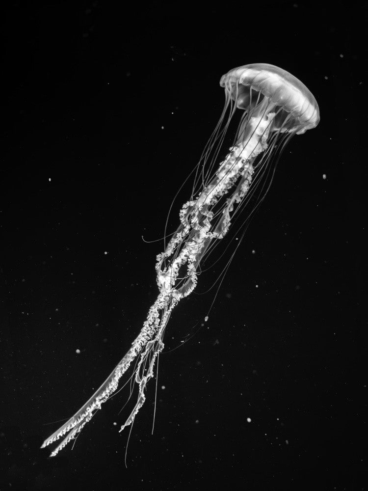 Swimming alone in space