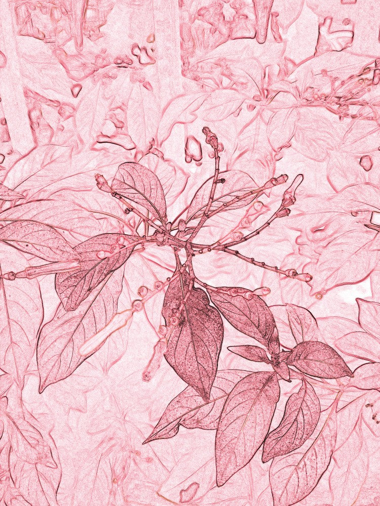 Pink Leaf Dreamscape