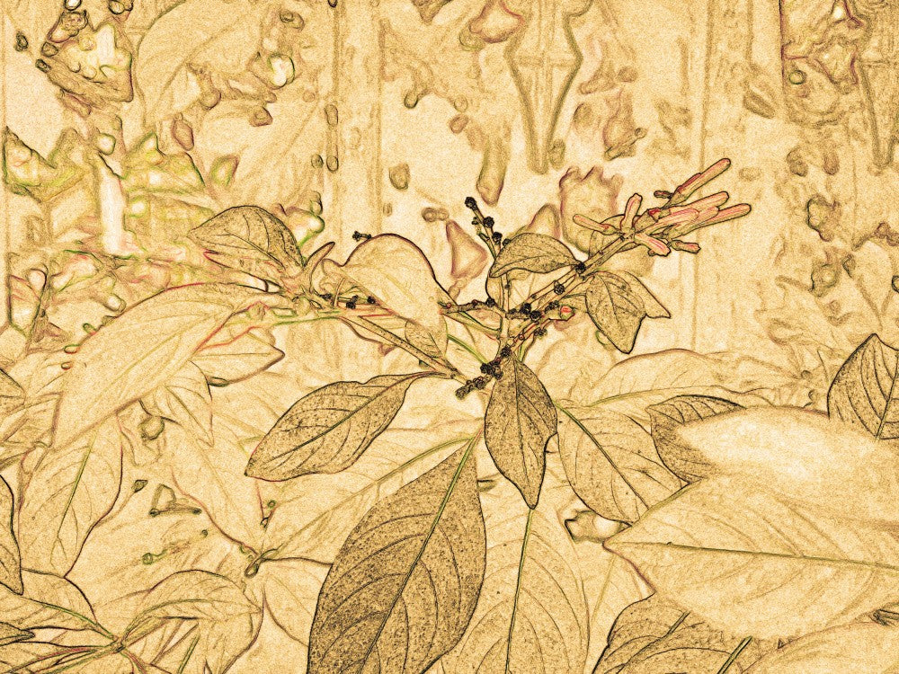 Golden Foliage Sketch