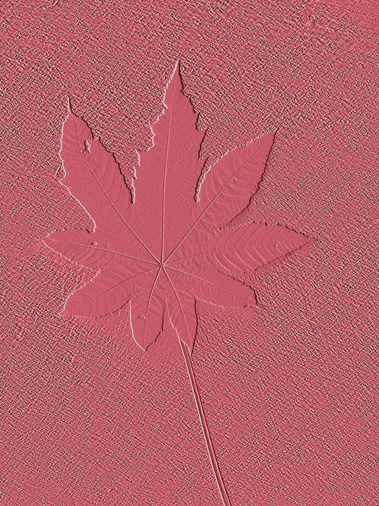 Crimson Imprint