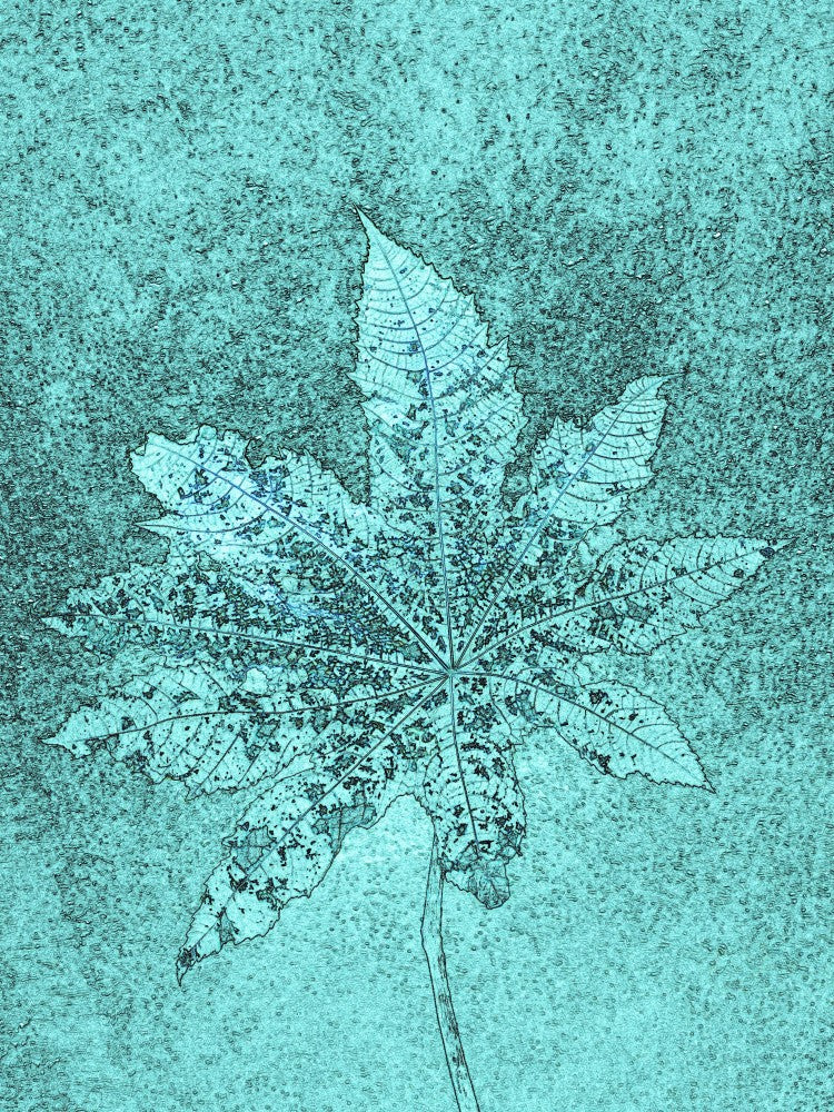 Frosted Leaf Veins