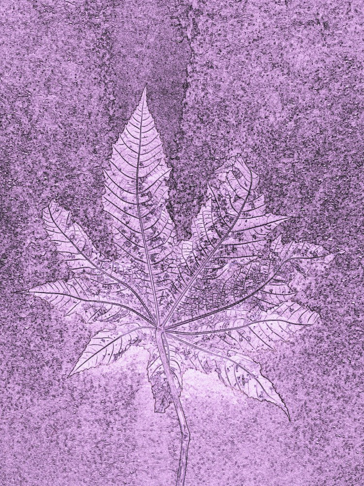 Purple Leaf Imprint