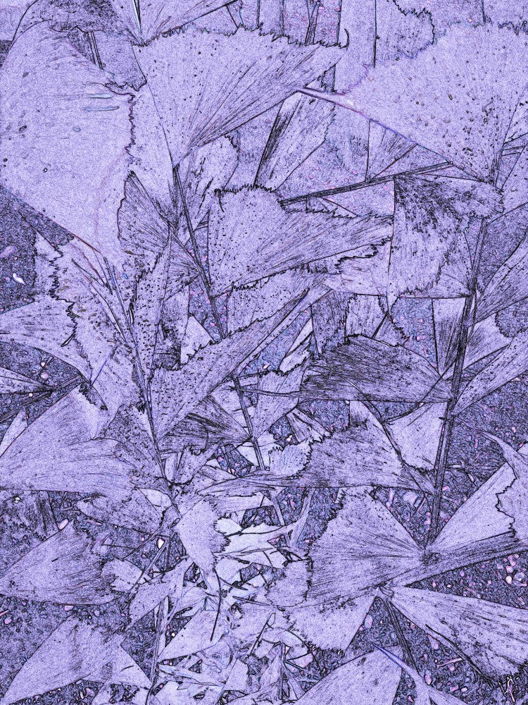 Whispering Leaves