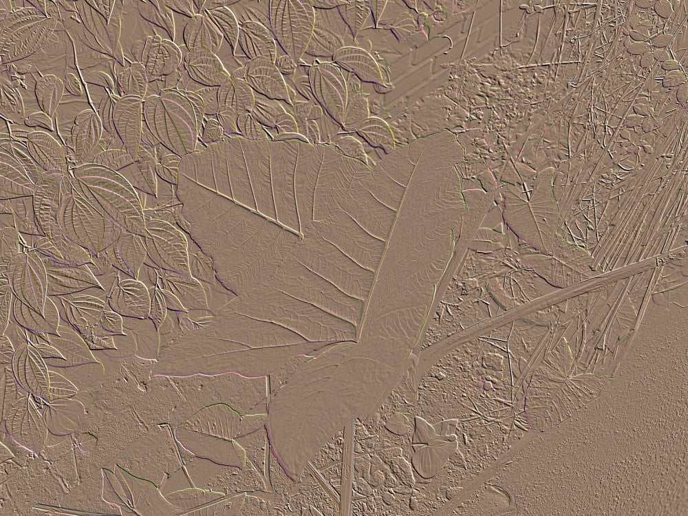 Textured Foliage