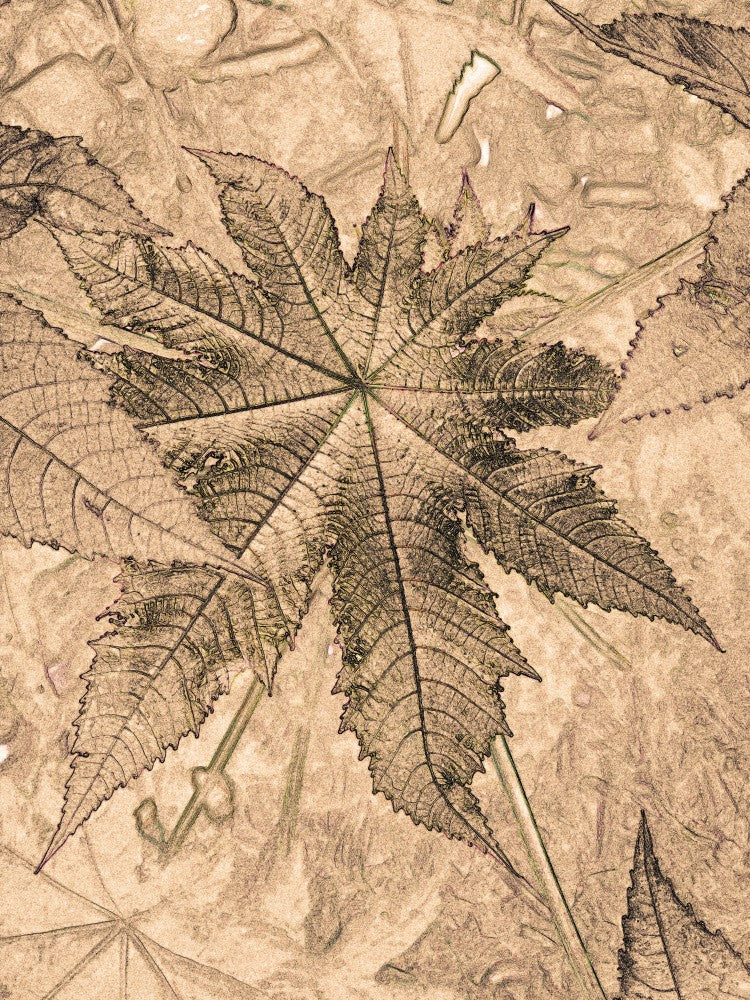 Leafy Elegance