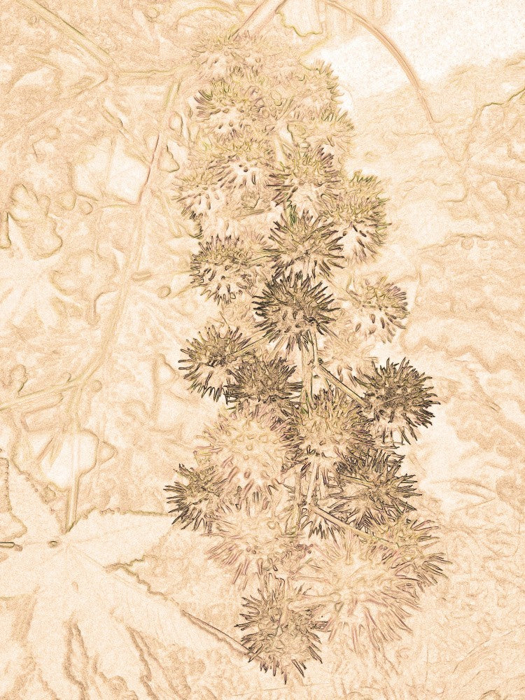 Spiky Nature's Embrace