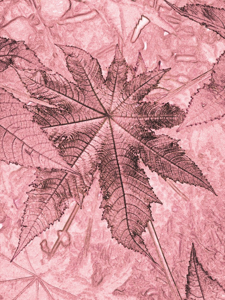 Impressions de Feuilles Roses