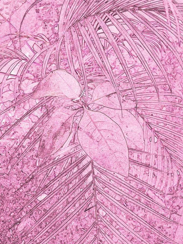 Pink Foliage Dream