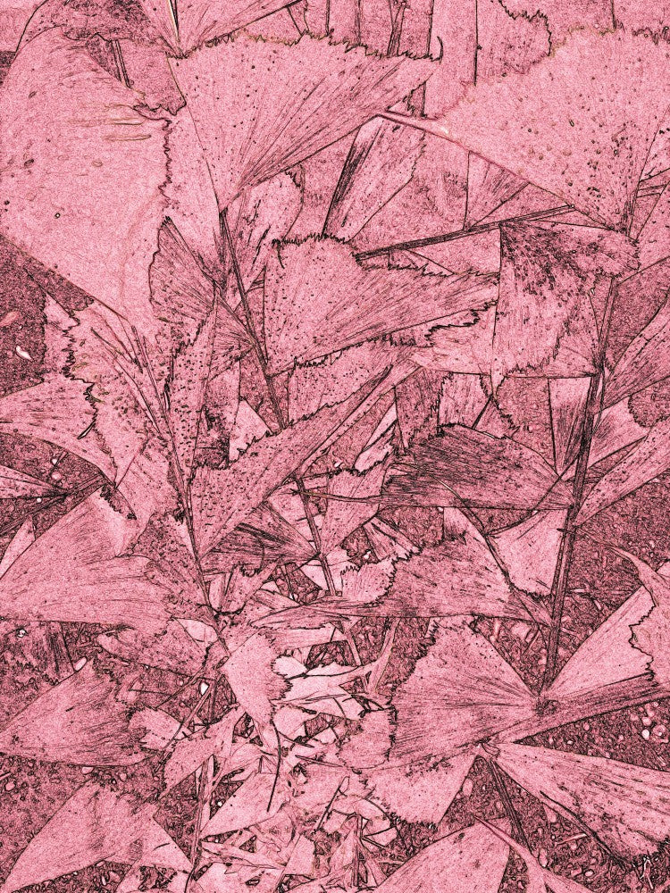 Crimson Leaves Maze