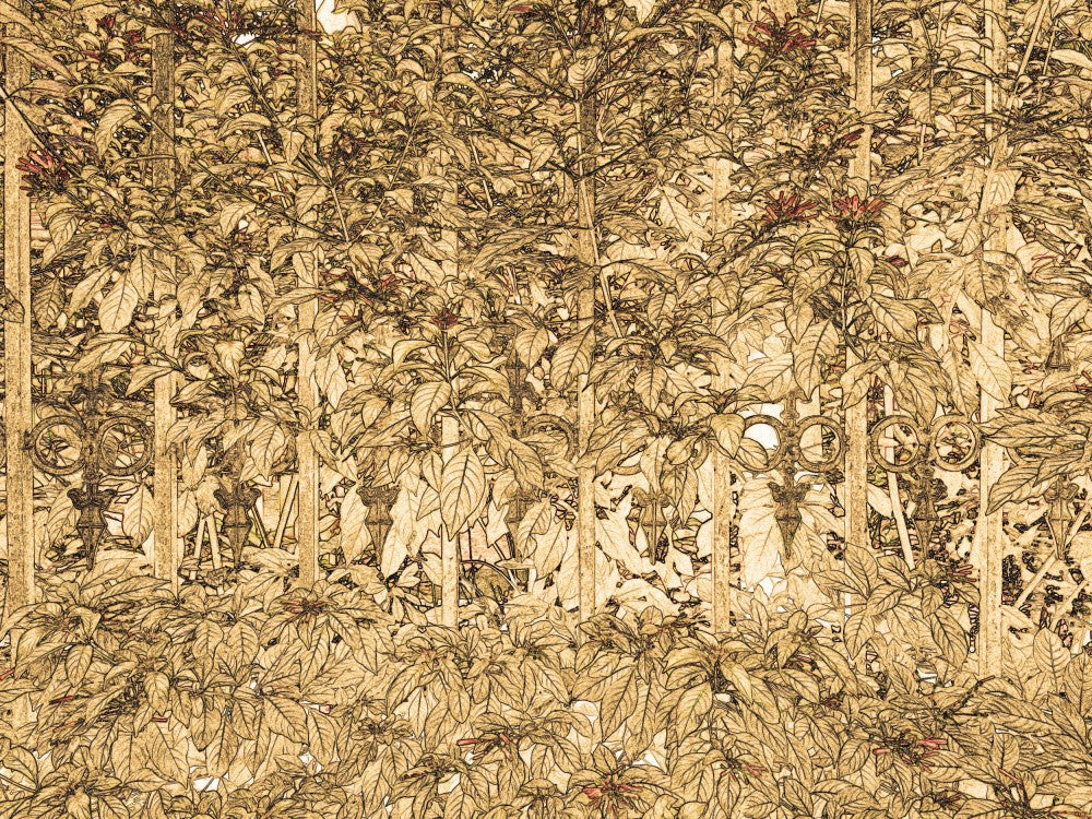 Foliage Symphony