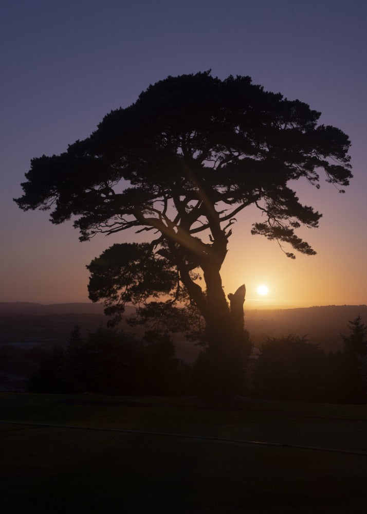 Sunset Silhouette