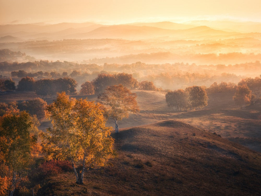 Autumn