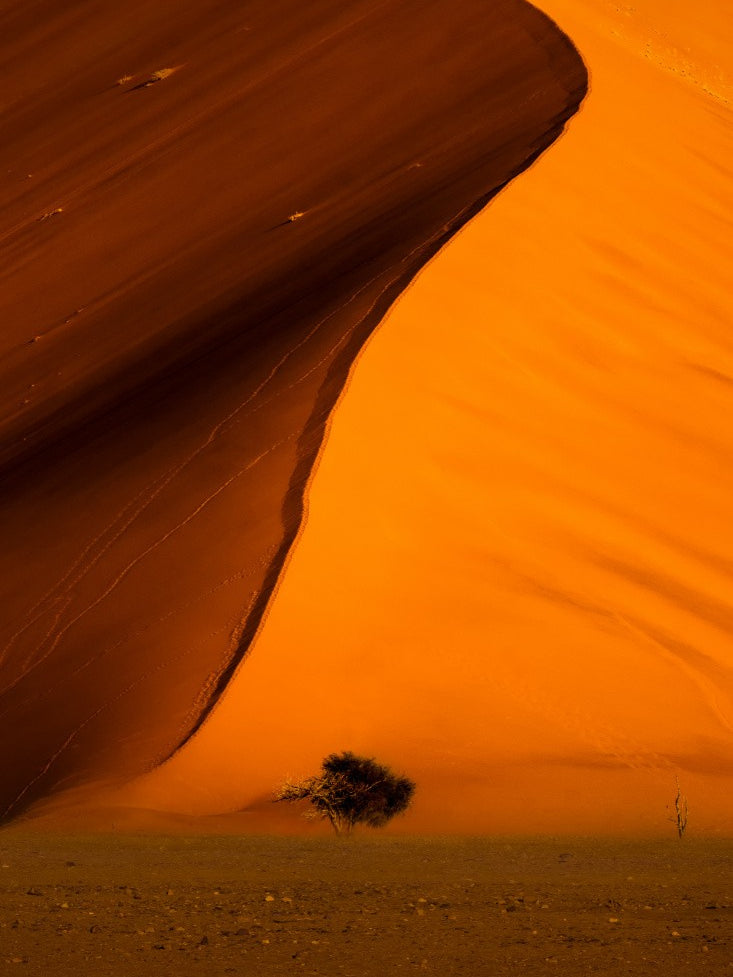 Dune 45 Sossusvlei
