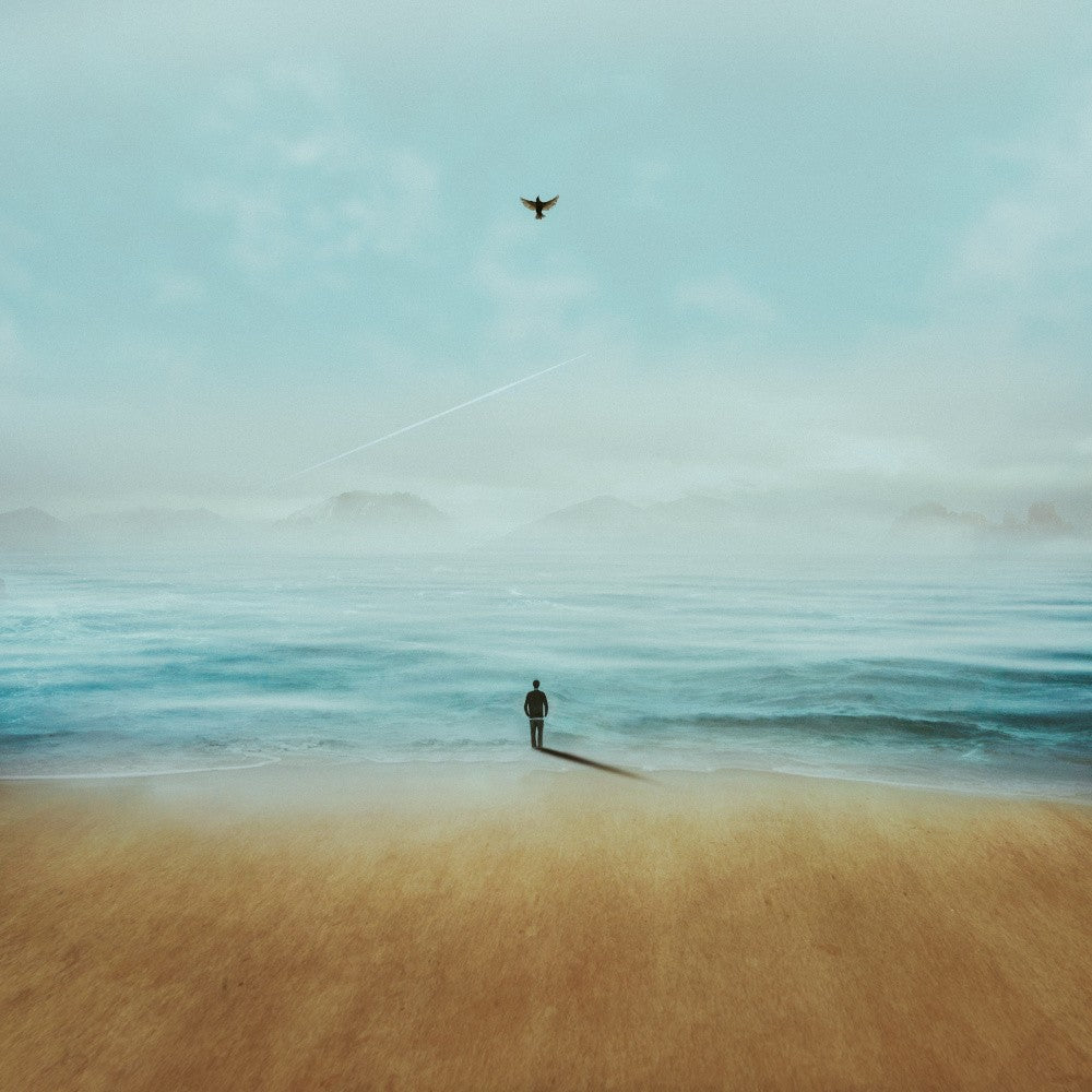 Freedom